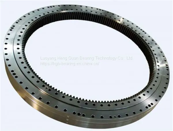 Double Row Ball Slewing Bearing for Ferris Wheel photo-2