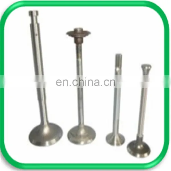 Truck Spare Parts Intake and Exhaust Engine Valve for Daf xf 105 95 106 photo-3