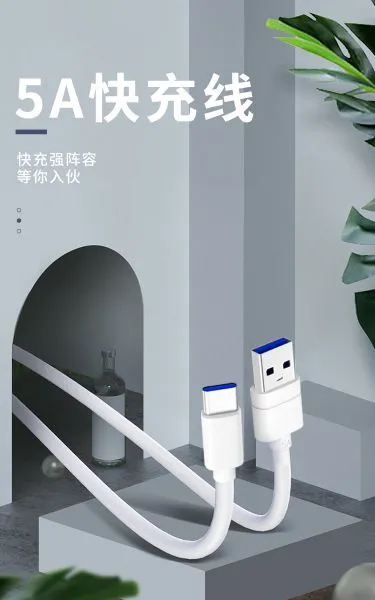 Type C To C Data Lines Mobile Phone Cords Usb 3.0 Charging Cable