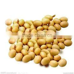 Organic Soybean photo-2
