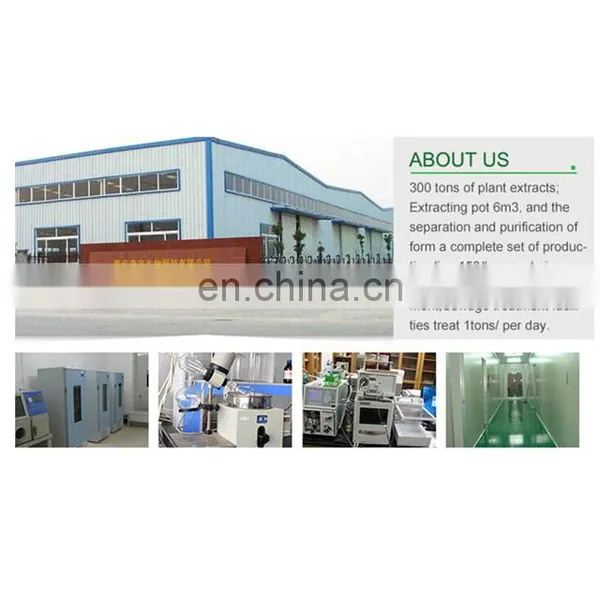 100% Wholesale Freeze-Dried Honey Powder photo-4