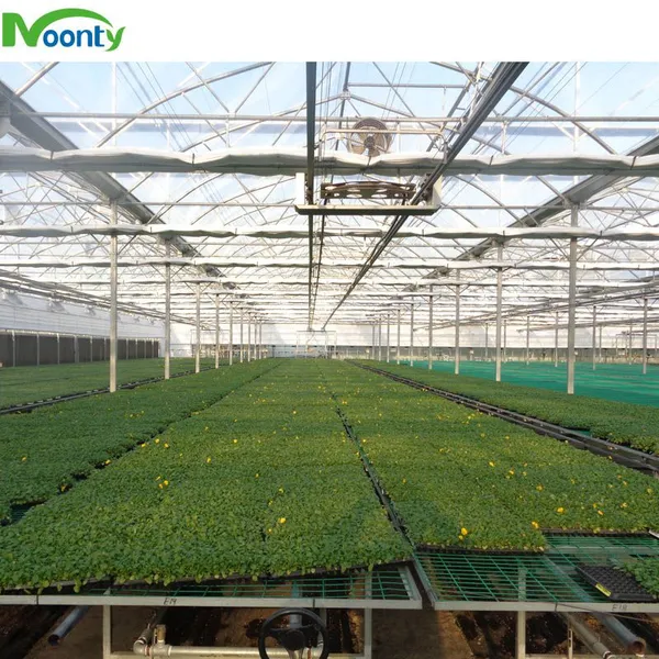 Commercial Use Agriculture Equipment PE Plastic Large Tunnel Vegetables Greenhouse photo-3
