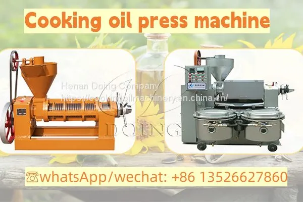 Peanut Oil Machine Peanut Oil Press Line Peanut Oil Extraction Machine photo-5