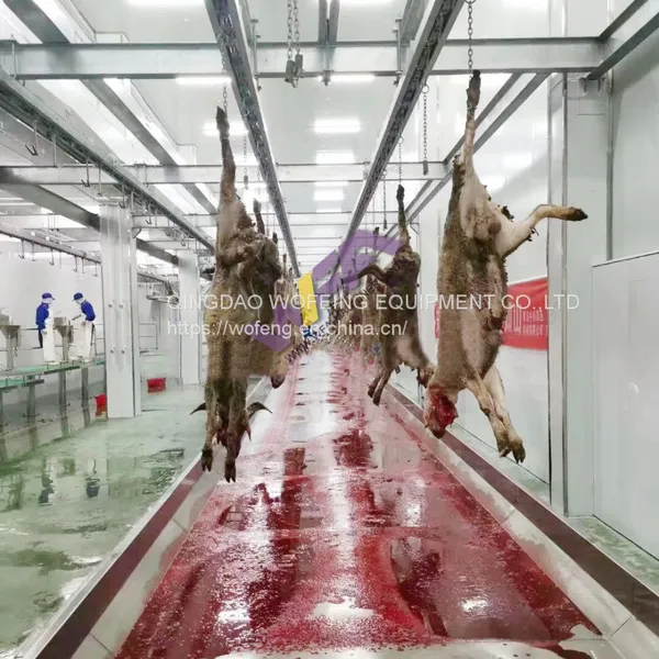 Good Supplier Sheep Slaughter Machinery Halal Goat Meat Slaughterhouse Equipment For Butchery Equipment photo-5