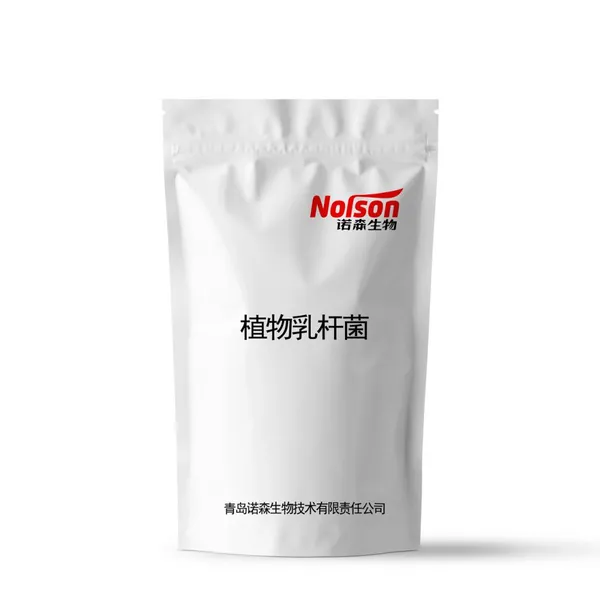 High Activity Freeze-dried Lactobacillus Plantarum Powder Food Grade Bulk Probiotics for Gut Health Supplements & Food Industry photo-3