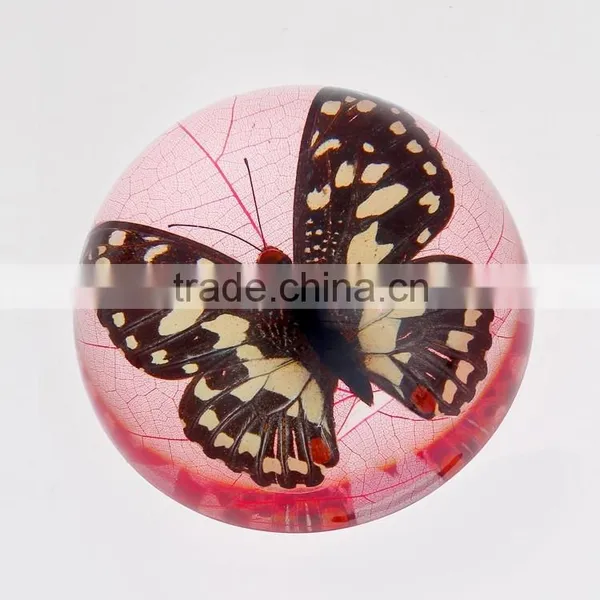 2016 New Design Paperweight With Real Butterfly photo-5