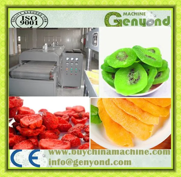 Raisin Processing Equipment/fruit Processing Equipment photo-3