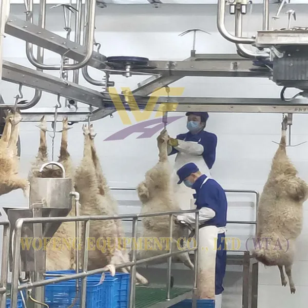 Sheep Slaughtering Equipment Line Halal Goat Abattoir Machine Solution Lamb Butchery Machinery HACCP Mutton Production Plant
