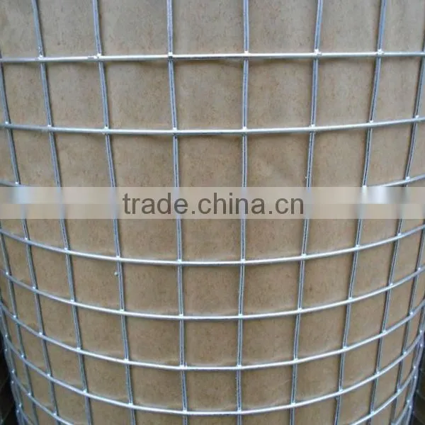 Electro Galvanized/PVC Coated/Hot Dipped Galvanized Welded Wire Mesh photo-2