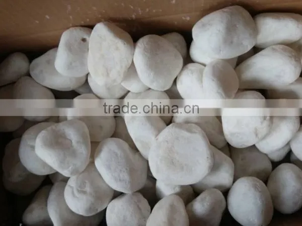 Popular and Hottest Snow White Tumbled Pebbles On Sales photo-5
