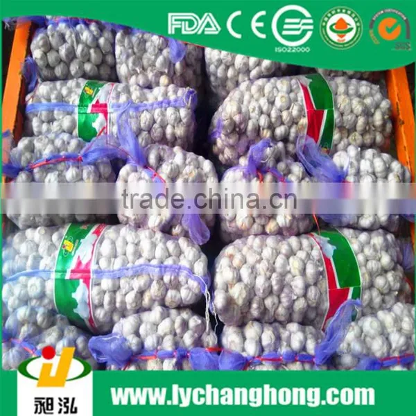 Hot Sale 4.5cm/5cm and up Normal White Garlic photo-3