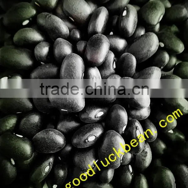 High Quality White/Black Pulse Beans photo-3