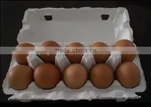 Pulp Moulding Process Type Size 10 Holes and Accept Custom Order Egg Trays