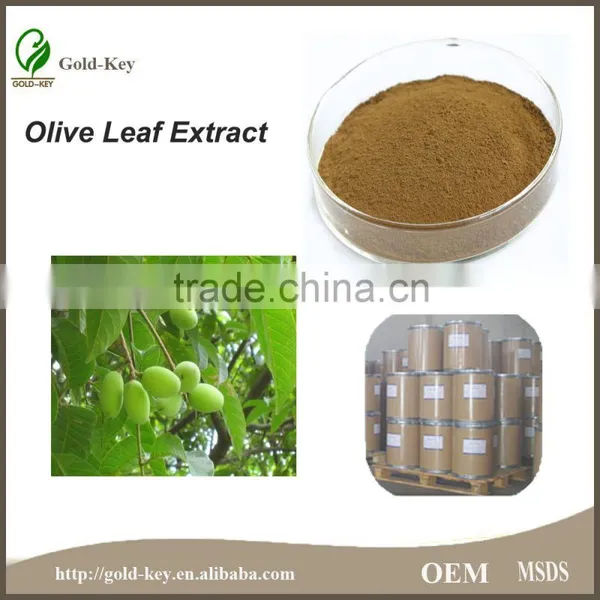 Pure Natural Hot Selling Olive Leaf Extract photo-2
