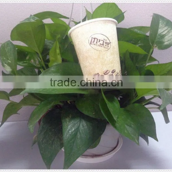 China Supplier Coffee Cup Ripple Cup Cold Cup photo-2