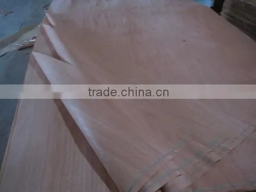 Grade A Rotary Cut Veneer photo-6