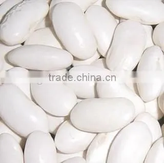 Chinese Large White Kidney Beans for Sale photo-3