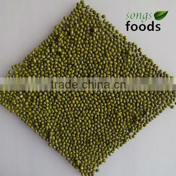 Dry Bulk Myanmar Green Mung Bean