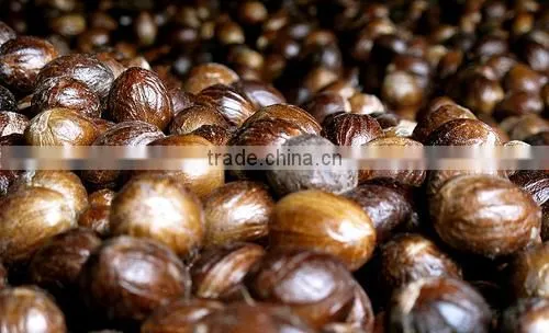 Nutmeg photo-6