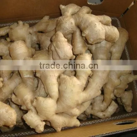 China Air Dry Ginger Professional Supplier for Holland and Russia photo-4