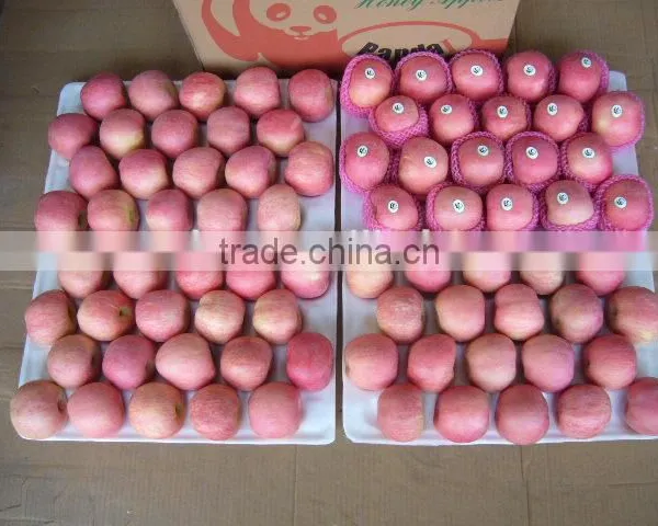 Fresh Apple Fruit Packaging photo-4