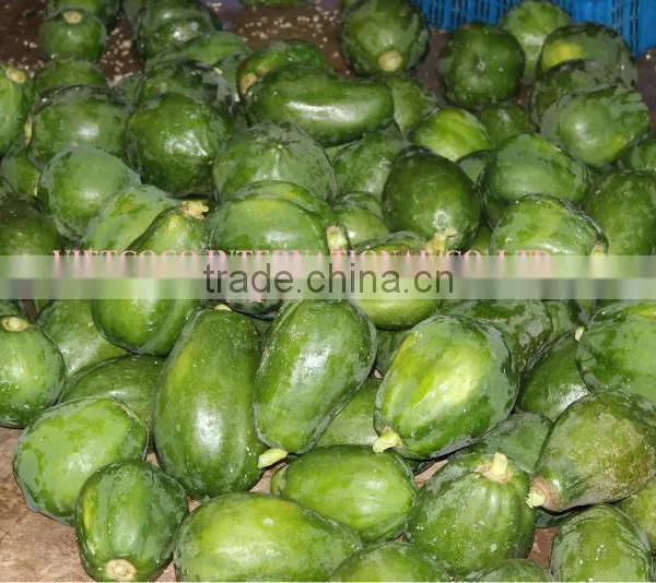 Dried Papaya Filament photo-3