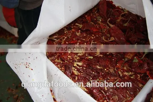 Hot Small Chaotian Chili photo-5