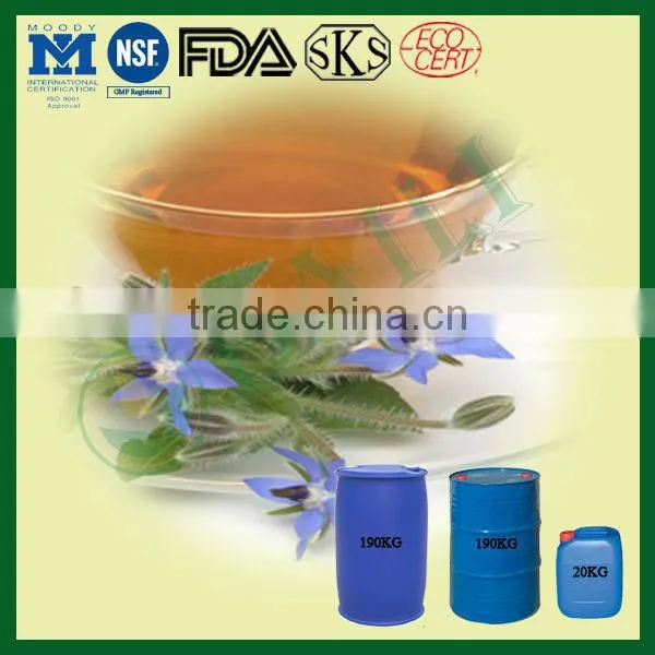 Pure 100%Borage Oil Supply photo-3