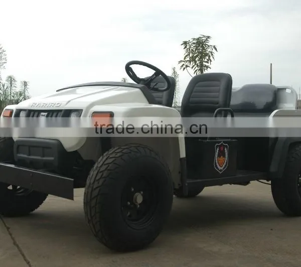 Manufacturer of Electric Car off Road Utility Vehicle UTV photo-5