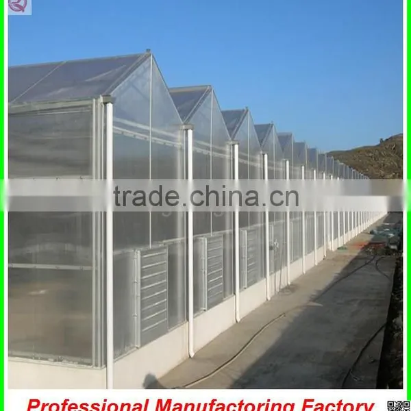 Large Muti-span Polycarbonate Sheet Greenhouse With Irrigation System photo-4