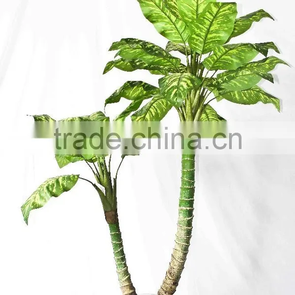 Wholesale Indoor Use Bonsai photo-3