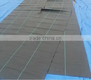 Ground Cover Fabric Grass Weed Control Mat photo-5