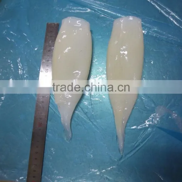 Frozen Illex Argentinus Squid Tube U5/U7/U10 photo-2
