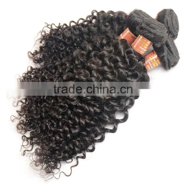 Unprocessed Kinky Curly Virgin Malaysian Hair Wholesale Malaysian Human Hair Weaves Curly Extension photo-4