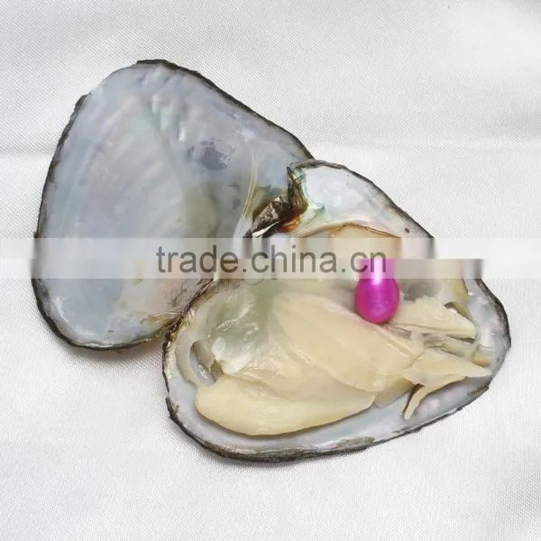 Raw Pearls Freshwater Cultured Love Wish 7.5-8mm Rice Pearl Oyster photo-4