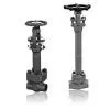 Forged Steel Cryogenic Valves