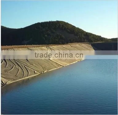 HDPE Geomembrane