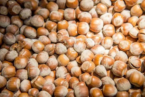 Hazelnut Drying Machine photo-5