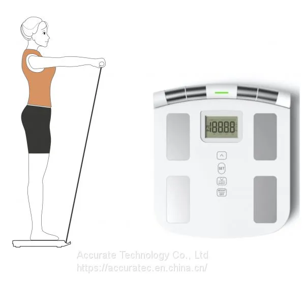 Inbody Body Composition Analyzer Scale Scanner Inbody Tanita