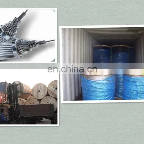 Electro/Hot Dipped Galvanized Welded Iron Wire Mesh Factory photo-3