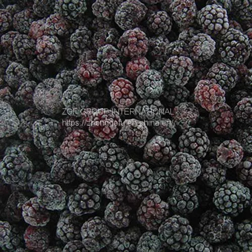 Frozen IQF Blackberry photo-2