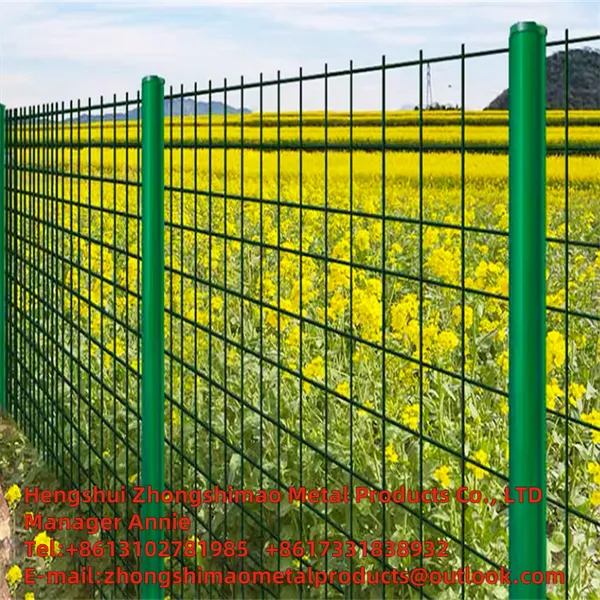PVC-Welded Wire Mesh/flower and Wood Fences/ vinyl Coat Wire Mesh/ plastic Wire Mesh photo-5