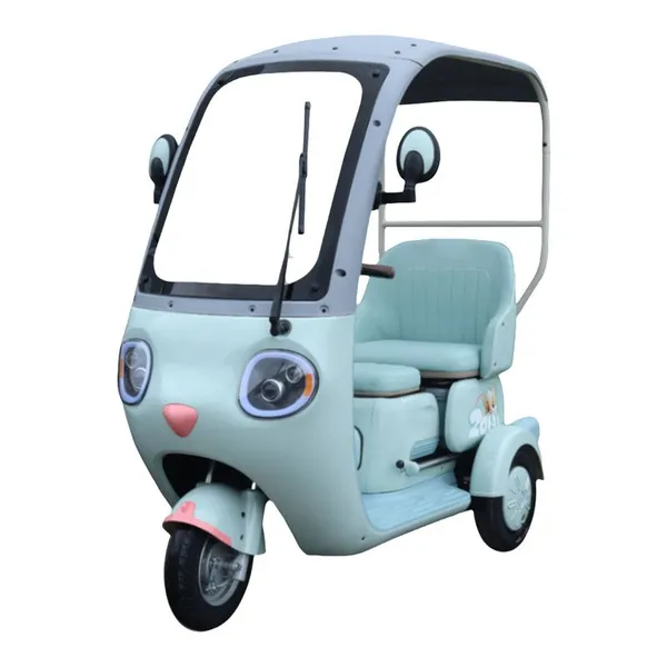 CKD Shipment of Hot New Arrival Leisure Electric Tricycle Family E-Scooter E-Trike 3wheeler Electric Motorcycle with Soft Seat and Weather Window