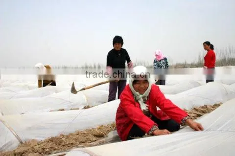 Non Woven Landscape Fabric Manufacturer photo-3