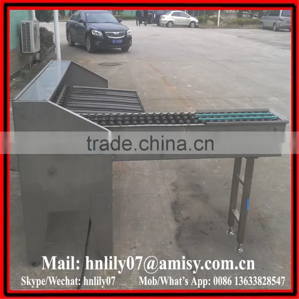 (website/Wechat: Hnlily07) Stainless Steel Egg Grading Machine photo-2