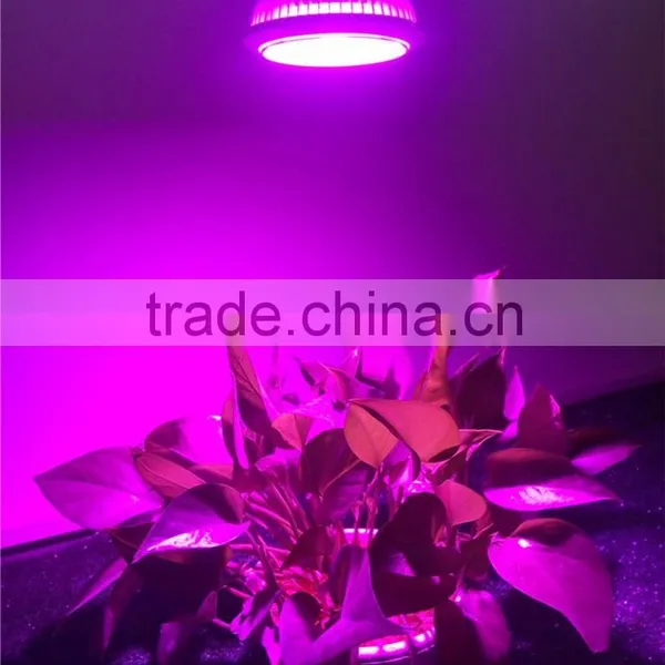 2016 New Products 12W Led Grow Light, photo-2