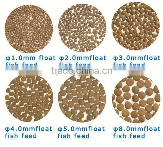 Floating Fish Feed Making Machine Equipment photo-3