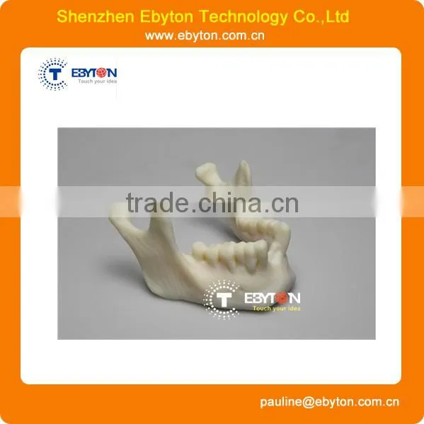 Medical Model Process Factory 3d Rapid Printing