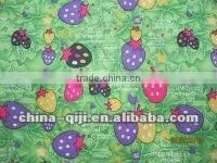 Waterproof Printing Apron Fabric