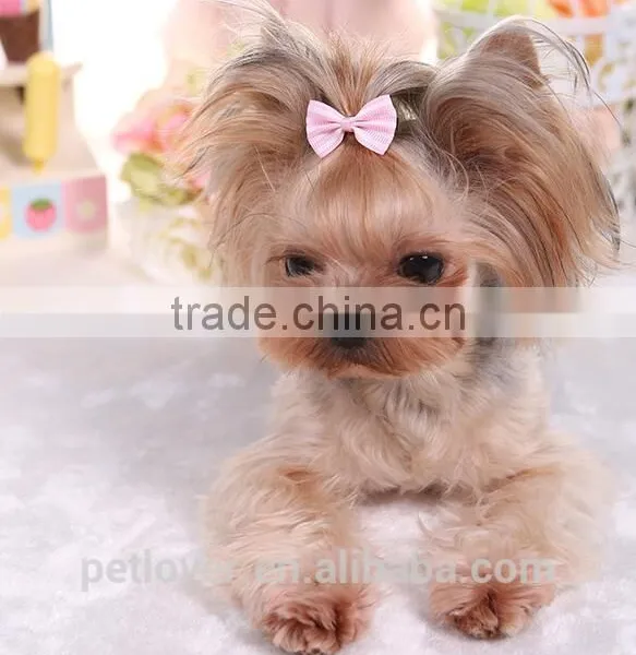 Cheap Stripe Pet Accessories Dogs and Cats photo-5